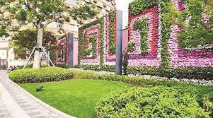 beat365官网 尚志城市绿化带种植什么植物比较好